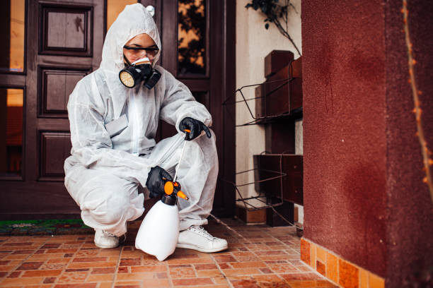 Reliable Ant Control contractor in Narrows, VA by Show Me Pest Control